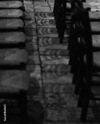 201207_07 — Photocriture®