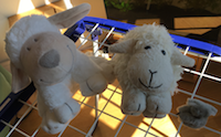 blog-bain-petit-mouton-bis