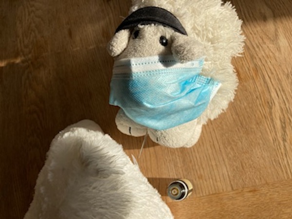 Docteur Mouton masqué pique Copain Mouton.