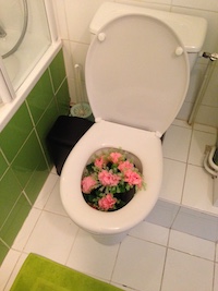 Des toilettes avec un bouquet de fleur à l'intérieur