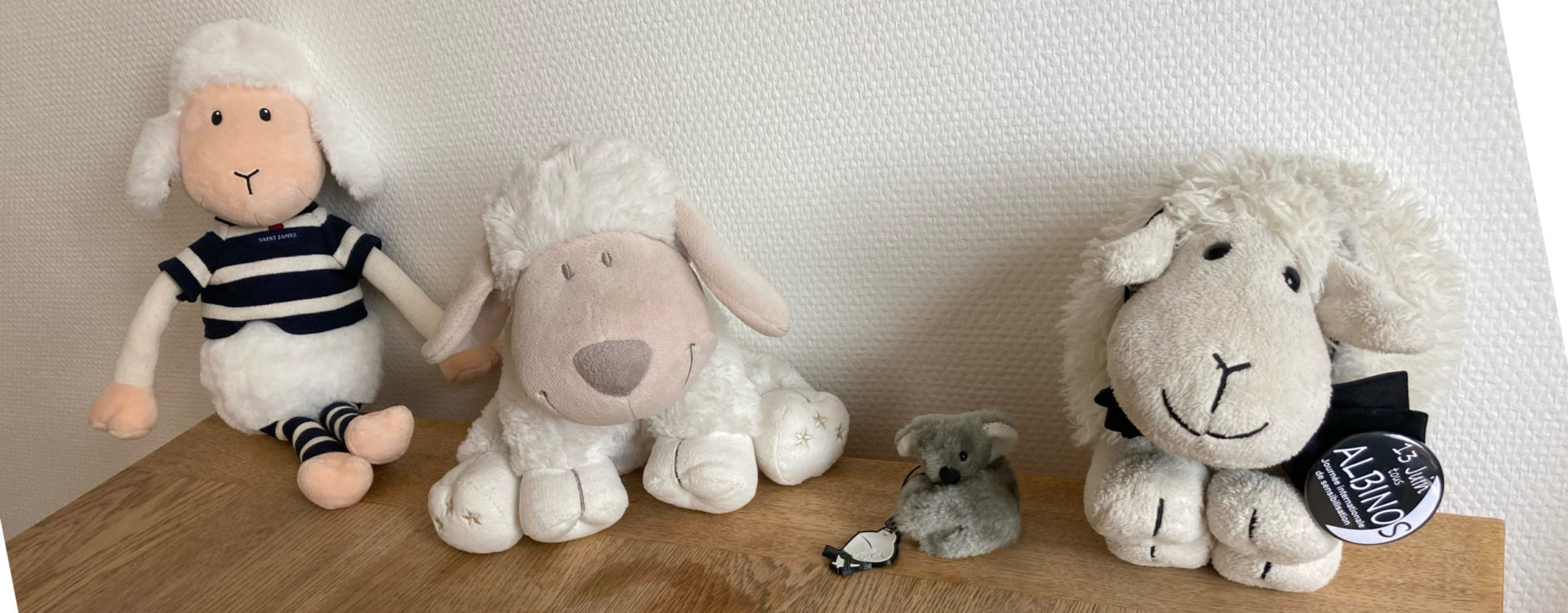 Vandeau de la V1 du blogue, Petit Mouton, Petit Koala, Cousin Mouton, et Petit Agneau des prés Sale (des peluches) sont aligés sur une commode.